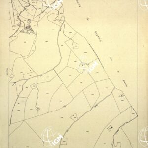 MAPPE CATASTALI D'ITALIA - PROVINCIA DI BRESCIA - Foglio C - COMUNE DI BIENNO Sez. BERZO INFERIORE