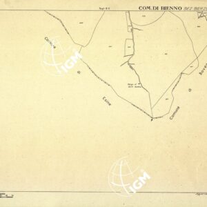 MAPPE CATASTALI D'ITALIA - PROVINCIA DI BRESCIA - Foglio D - COMUNE DI BIENNO Sez. BERZO INFERIORE