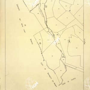 MAPPE CATASTALI D'ITALIA - PROVINCIA DI BRESCIA - Foglio D -COMUNE DI BIENNO Sez. BIENNO