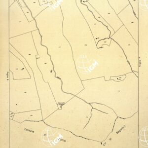 MAPPE CATASTALI D'ITALIA - PROVINCIA DI BRESCIA - Foglio E - COMUNE DI BIENNO Sez. BIENNO