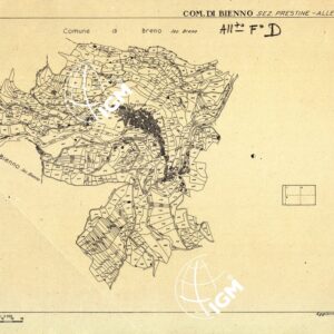 MAPPE CATASTALI D'ITALIA - PROVINCIA DI BRESCIA - Foglio D - COMUNE DI BIENNO Sez. PRESTINE