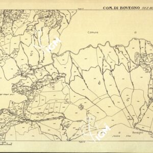 MAPPE CATASTALI D'ITALIA - PROVINCIA DI BRESCIA - Foglio F - COMUNE DI BOVEGNO Sez. di BOVEGNO