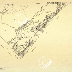 MAPPE CATASTALI D'ITALIA - PROVINCIA DI BRESCIA - Foglio C - COMUNE DI BORNO Sez. PIAN DI BORNO