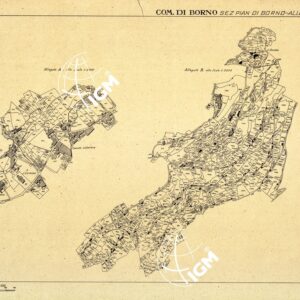 MAPPE CATASTALI D'ITALIA - PROVINCIA DI BRESCIA - Foglio D - COMUNE DI BORNO Sez. PIAN DI BORNO
