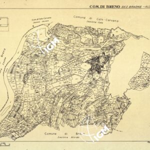 MAPPE CATASTALI D'ITALIA - PROVINCIA DI BRESCIA - Foglio D - COMUNE DI BRENO Sez. BRAONE