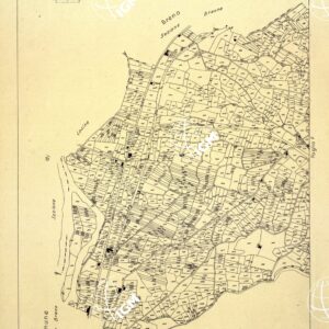 MAPPE CATASTALI D'ITALIA - PROVINCIA DI BRESCIA - Foglio E - COMUNE DI BRENO Sez. NIARDO
