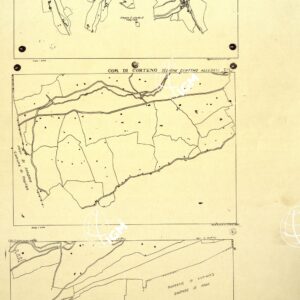 MAPPE CATASTALI D'ITALIA - PROVINCIA DI BRESCIA - Foglio M,Foglio L, Foglio I - COMUNE DI CORTENO Sez. CORTENO
