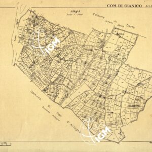 MAPPE CATASTALI D'ITALIA - PROVINCIA DI BRESCIA - Foglio D - COMUNE DI GIANICO