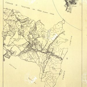 MAPPE CATASTALI D'ITALIA - PROVINCIA DI BRESCIA - Foglio C - COMUNE DI MARCHENO Sez.BROZZO