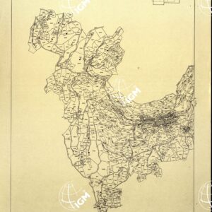 MAPPE CATASTALI D'ITALIA - PROVINCIA DI BRESCIA - Foglio D - COMUNE DI TREVISO BRESCIANO