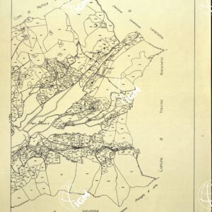MAPPE CATASTALI D'ITALIA - PROVINCIA DI BRESCIA - Foglio B - COMUNE DI VESTONE Sez. VESTONE