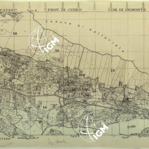 MAPPE CATASTALI D'ITALIA - PROVINCIA DI CUNEO - COMUNE DI DEMONTE Foglio M