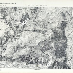 CARTA DELLA CONTEA DI NIZZA - Foglio 54 - Toetto di Boglio