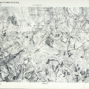 CARTA DELLA CONTEA DI NIZZA - Foglio 55 - Bairols