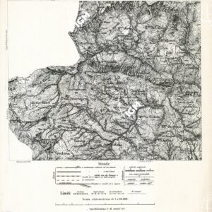 CARTA DELLA CONTEA DI NIZZA - Foglio 14 bis - Viozene
