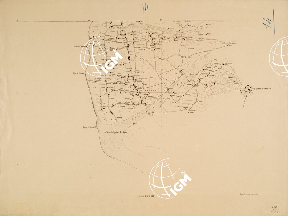 CARTA TOPOGRAFICA DEL FARO DI MESSINA ESEGUITA NEL 1844 - Foglio 14