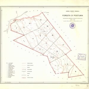 AZIENDA FORESTE DEMANIALI. FORESTA DI POSTUMIA