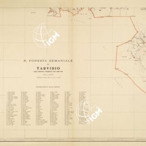 R. FORESTA DEMANIALE DI TARVISIO - Tavola 1
