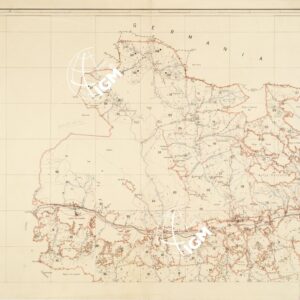 R. FORESTA DEMANIALE DI TARVISIO - Tavola 2