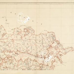 R. FORESTA DEMANIALE DI TARVISIO - Tavola 3
