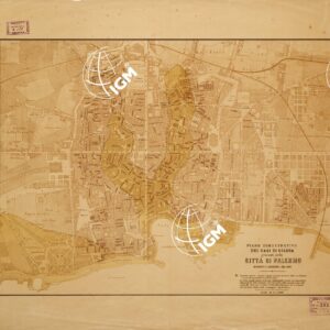 PIANO DIMOSTRATIVO DEI CASI DI COLERA AVVENUTI NELLA CITTA' DI PALERMO DURANTE L'EPIDEMIA DEL 1885