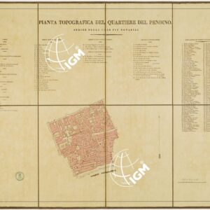 PIANTA DEI QUARTIERI DELLA CITTA' DI NAPOLI - PIANTA TOPOGRAFICA DEL QUARTIERE DEL PENDINO