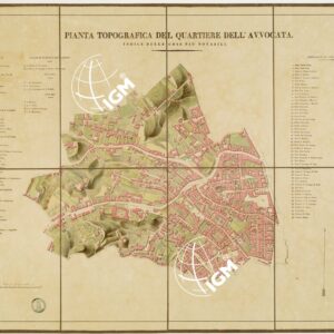 PIANTA DEI QUARTIERI DELLA CITTA' DI NAPOLI - PIANTA TOPOGRAFICA DEL QUARTIERE DELL'AVVOCATA