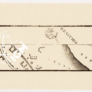 RIPRODUZIONE DEL 1911 DELLA CARTA DI ROMA AL TEMPO DI GIULIO III - Foglio 3