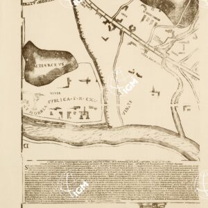 RIPRODUZIONE  DEL 1911 DELLA CARTA DI ROMA AL TEMPO DI GIULIO III - Foglio 23