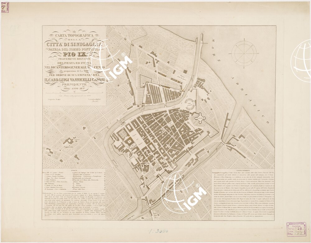 CARTA TOPOGRAFICA DELLA CITTA' DI SENIGALLIA PATRIA DEL SOMMO PONTEFICE PIO IX.