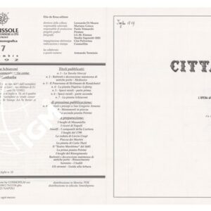 PIANTA DELLA CITTA' DI NAPOLI - TITOLO