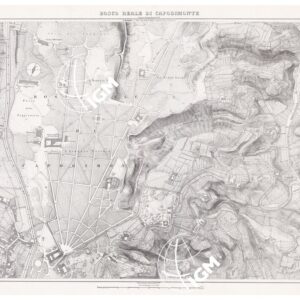 PIANTA DELLA CITTA' DI NAPOLI - Foglio 4 - Bosco Reale di Capodimonte