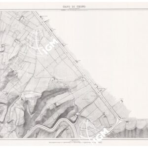 PIANTA DELLA CITTA' DI NAPOLI - Foglio 5 - Capo di Chino