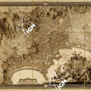 PIANTA DELLA CITTA' DI NAPOLI COME ESISTE NEL PRESENTE ANNO MDCCXC J. A. RIZZI-ZANNONI. REG. GEOGR. ACCAD. SCIENT. PATAV. GOETING. ELECT. PALAT. ecc.