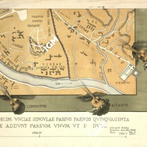 RIPRODUZIONE DEL 1883 DELLA PIANTA DI ROMA DI LEONARDO BUFALINI - Tavola D 3