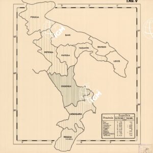 CARTA FORESTALE DEL REGNO D'ITALIA... - Tavola 5