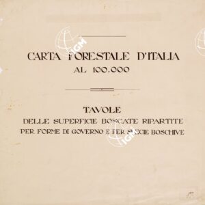 CARTA FORESTALE DEL REGNO D'ITALIA...