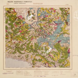 CARTA FORESTALE DEL REGNO D'ITALIA... - Foglio 83 RAPALLO
