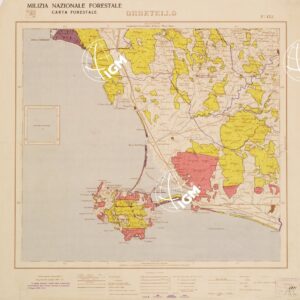 CARTA FORESTALE DEL REGNO D'ITALIA... - Foglio 135 ORBETELLO