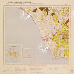 CARTA FORESTALE DEL REGNO D'ITALIA... - Foglio 142 CIVITAVECCHIA