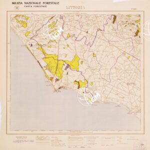 CARTA FORESTALE DEL REGNO D'ITALIA MILIZIA NAZIONALE FORESTALE CARTA FORESTALE - Foglio 158 LITTORIA
