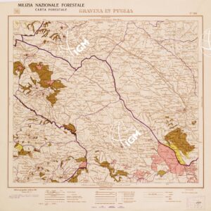 CARTA FORESTALE DEL REGNO D'ITALIA... - Foglio 188 GRAVINA DI PUGLIA