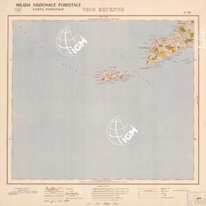 CARTA FORESTALE DEL REGNO D'ITALIA... - Foglio 196 VICO EQUENSE
