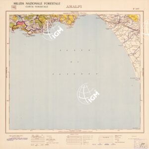 CARTA FORESTALE DEL REGNO D'ITALIA... - Foglio 197 AMALFI
