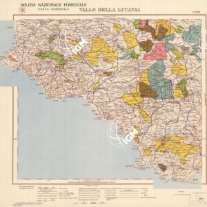 CARTA FORESTALE DEL REGNO D'ITALIA... - Foglio 209 VALLO DELLA LUCANIA