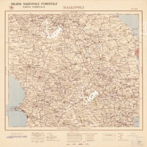 CARTA FORESTALE DEL REGNO D'ITALIA... - Foglio 214 GALLIPOLI