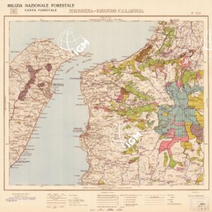 CARTA FORESTALE DEL REGNO D'ITALIA MILIZIA NAZIONALE FORESTALE CARTA FORESTALE- Foglio 254 MESSINA-REGGIO CALABRI