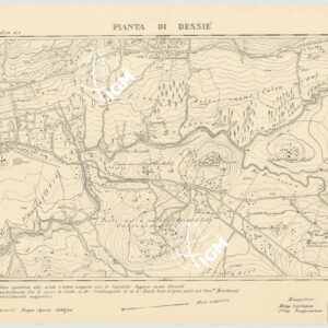 PIANTA DI DESSIE' - Foglio 2