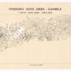ITINERARIO ADDIS ABEBA - GAMBELA - 1° tratto: Addis Abeba-Addis Alem