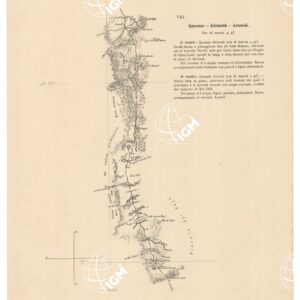 ITINERARIO QUORAM ALOMATA AROSCIA TAVOLA  VIII